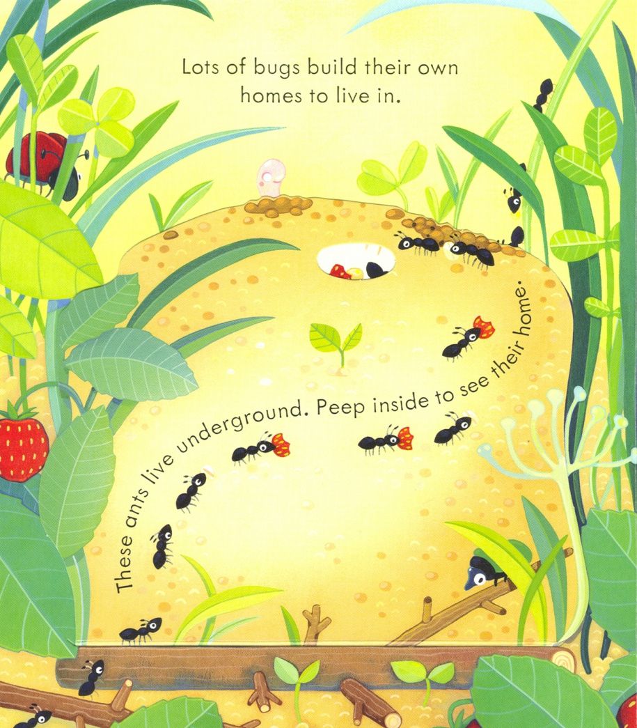 Anna Milbourne: Peep Inside. Bug Homes
