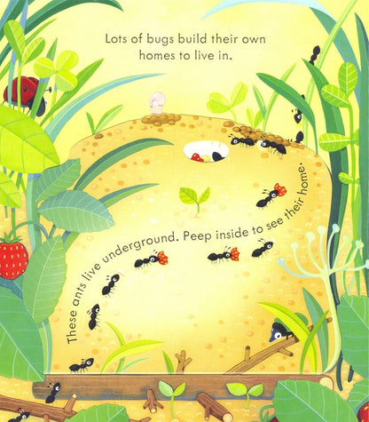 Anna Milbourne: Peep Inside. Bug Homes