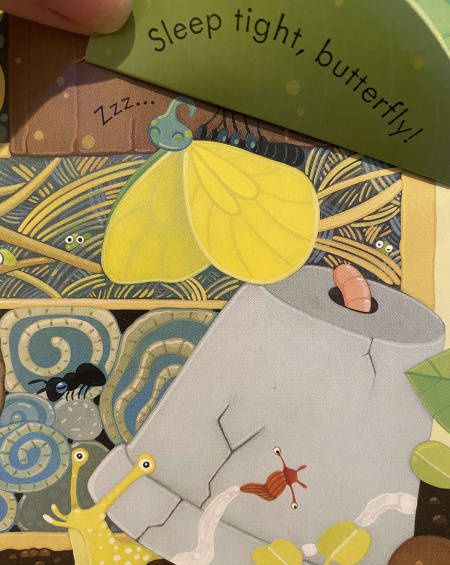 Anna Milbourne: Peep Inside. Bug Homes