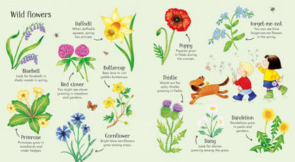 Кейт Нолан: Poppy and Sam's Nature Spotting Book