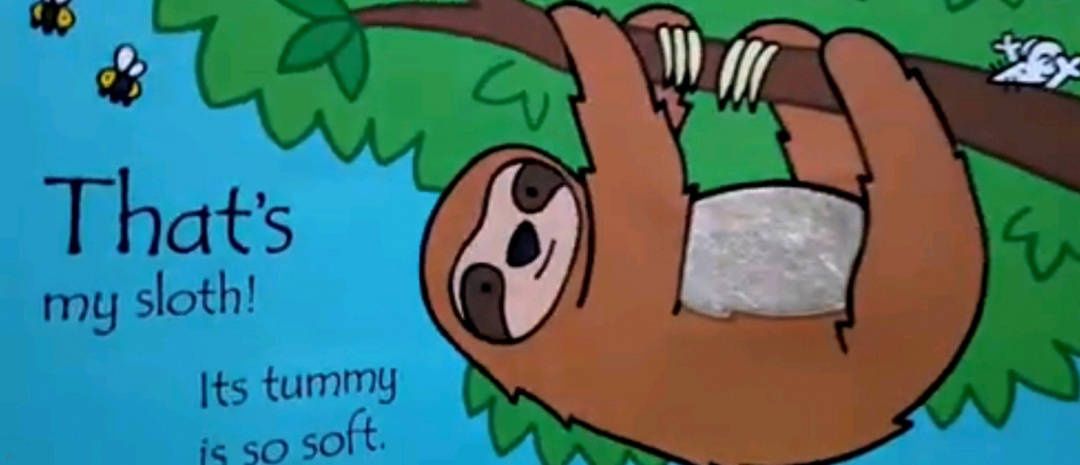 Fiona Watt: That's not my sloth…