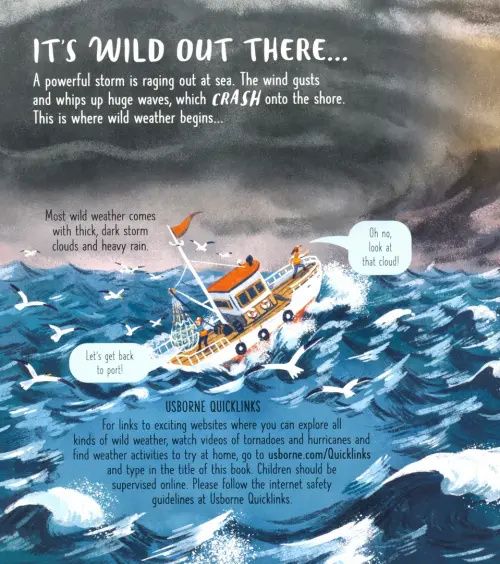 Wild Weather