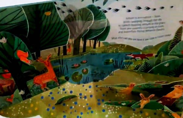 Anna Milbourne: Pop-Up Nature