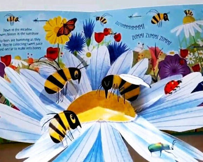 Anna Milbourne: Pop-Up Nature