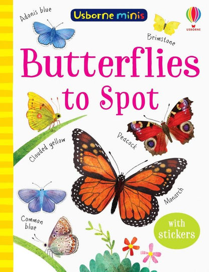 Kirsteen Robson: Butterflies to Spot