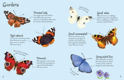 Kirsteen Robson: Butterflies to Spot
