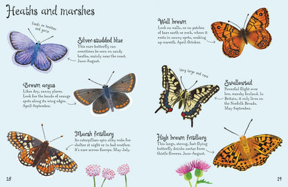 Kirsteen Robson: Butterflies to Spot