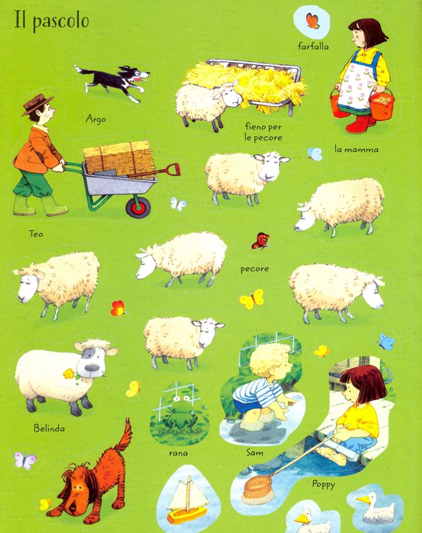 Sam Taplin: Nella fattoria. Libro con adesivi