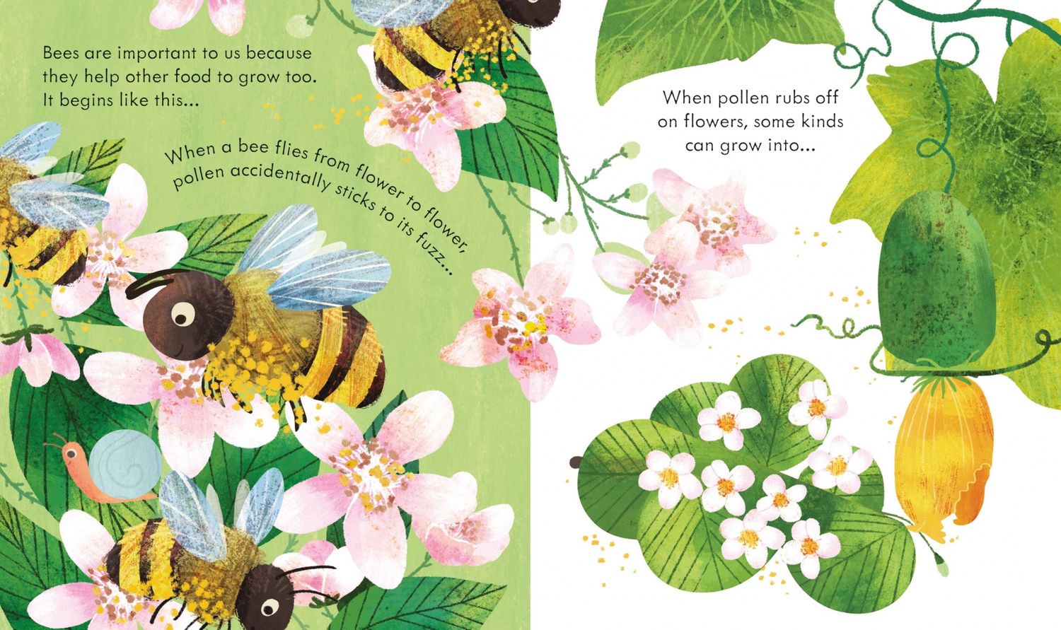 Anna Milbourne: Peep Inside a Beehive