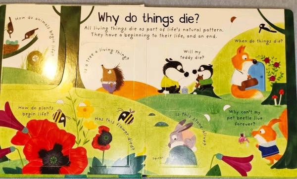 Katie Daynes: Why Do Things Die?