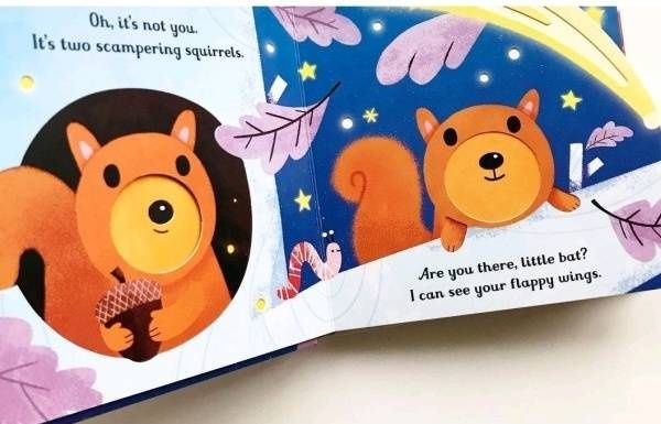 Sam Taplin: Are You There Little Bat?
