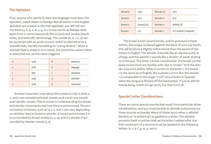 Irish. History & Culture Through Language