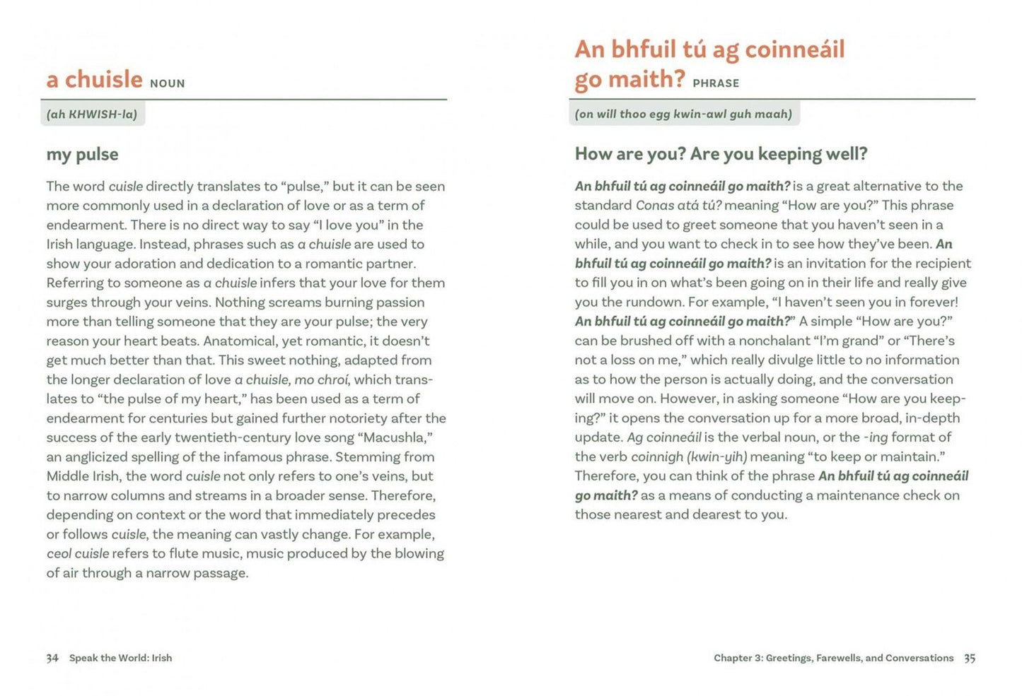 Irish. History & Culture Through Language