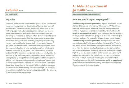 Irish. History & Culture Through Language