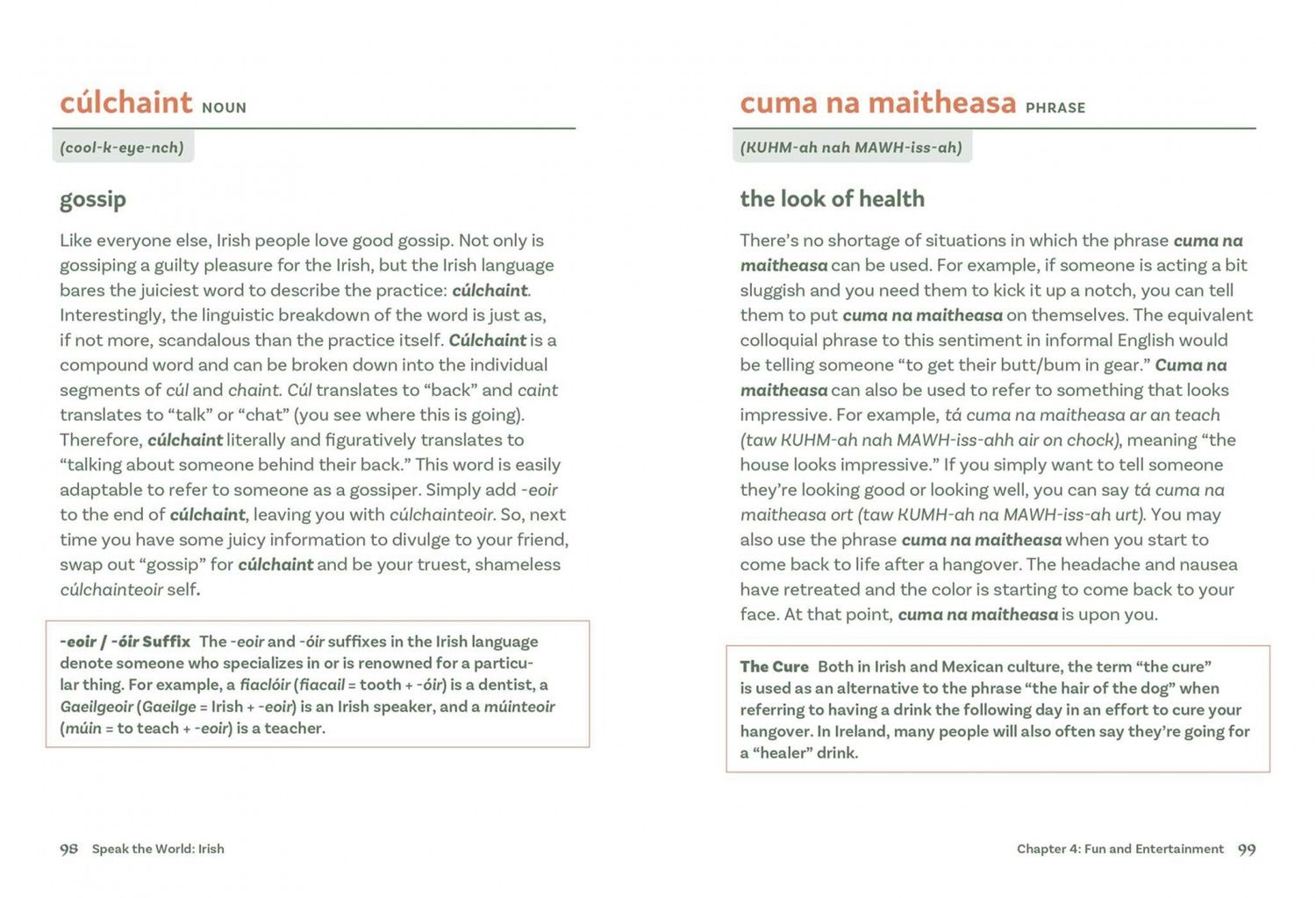 Irish. History & Culture Through Language