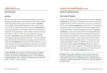 Irish. History & Culture Through Language