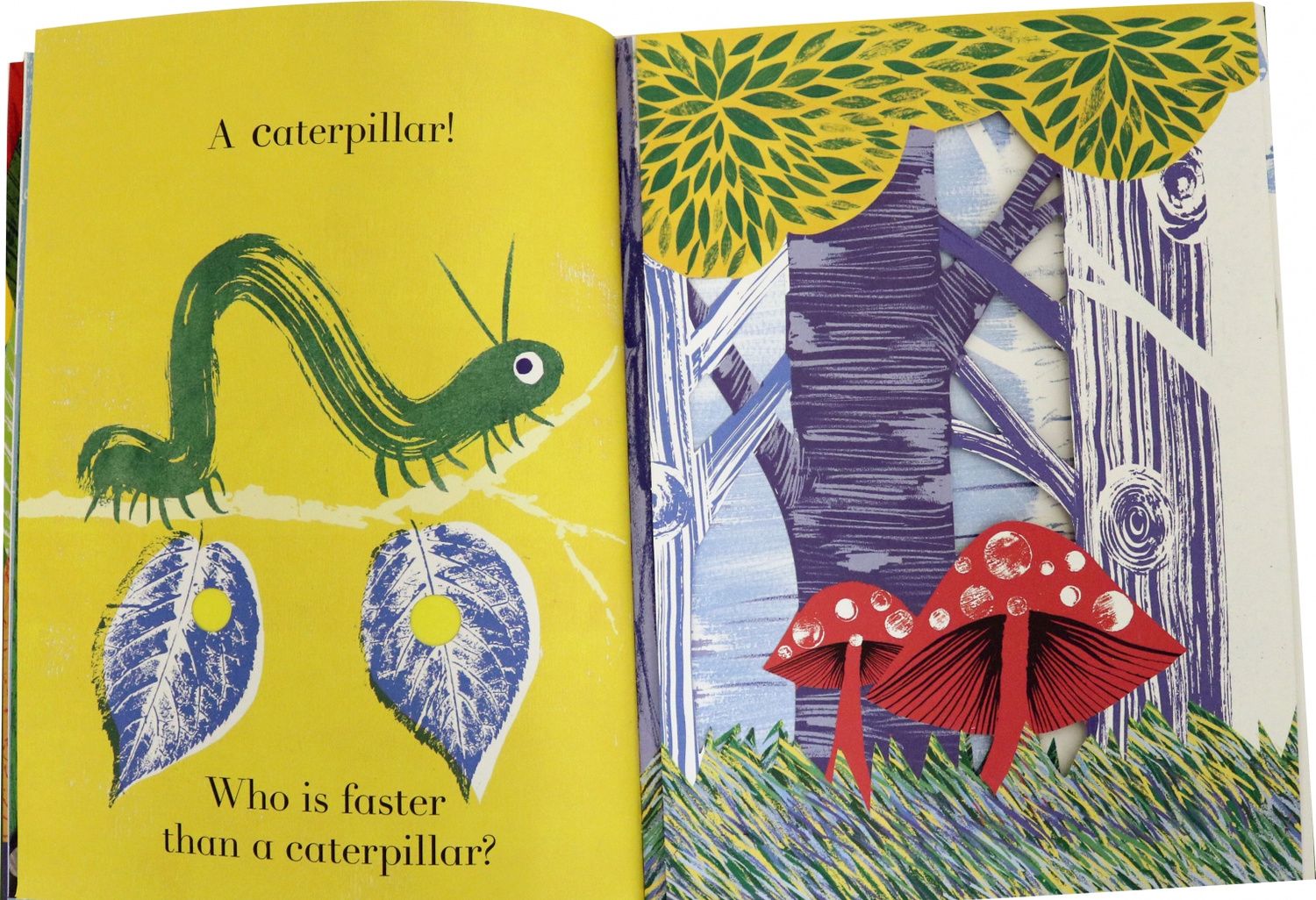 Julia Donaldson: Animalphabet