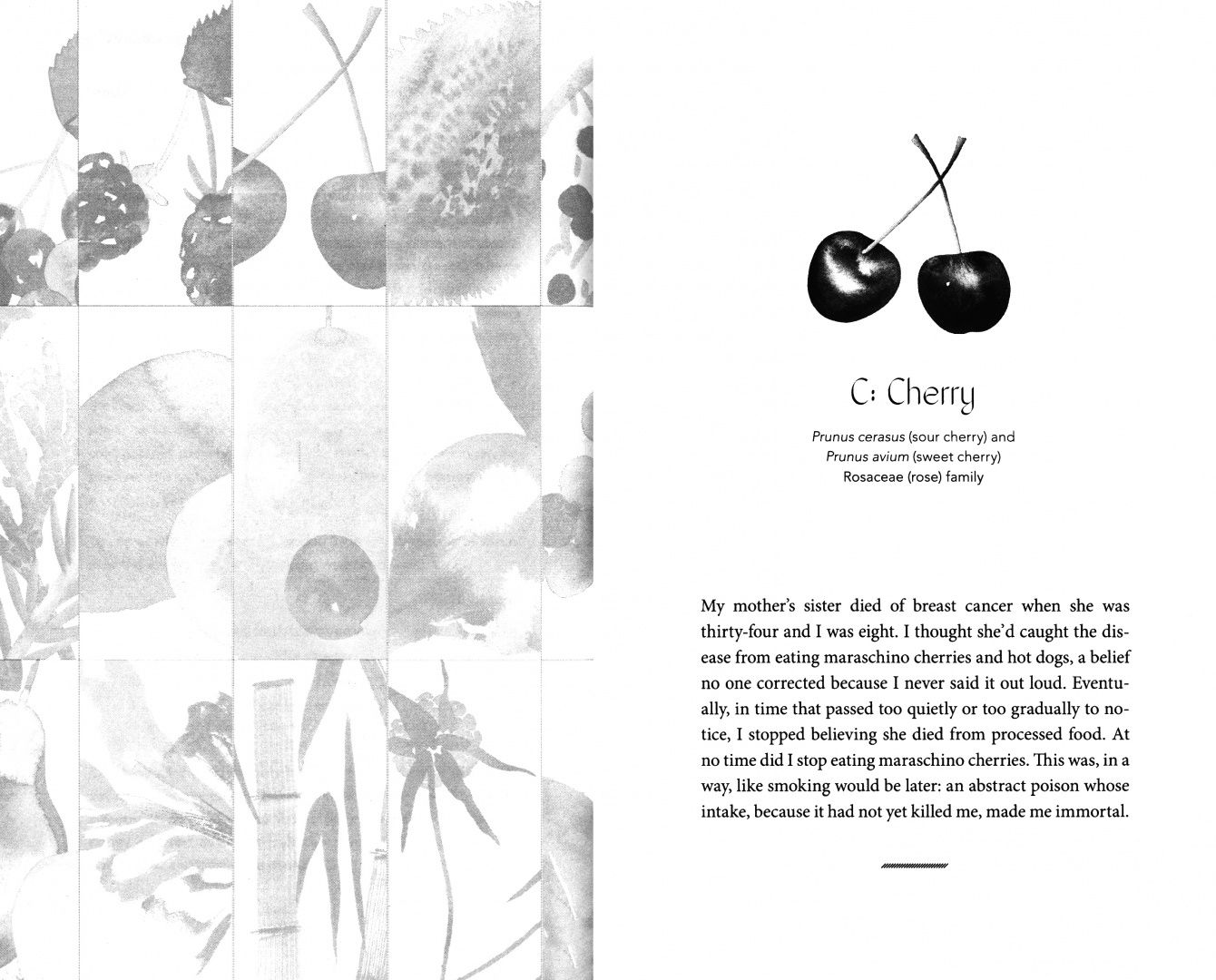 Kate Lebo: The Book of Difficult Fruit. Arguments for the Tart, Tender, and Unruly