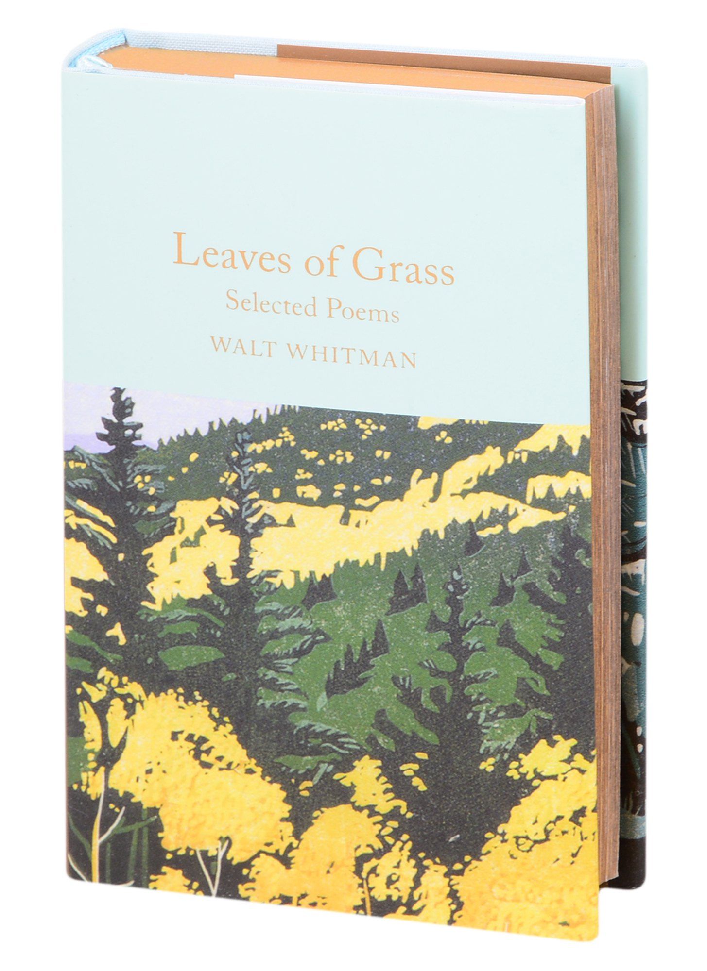 Walt Whitman: Leaves of Grass and Other Poems