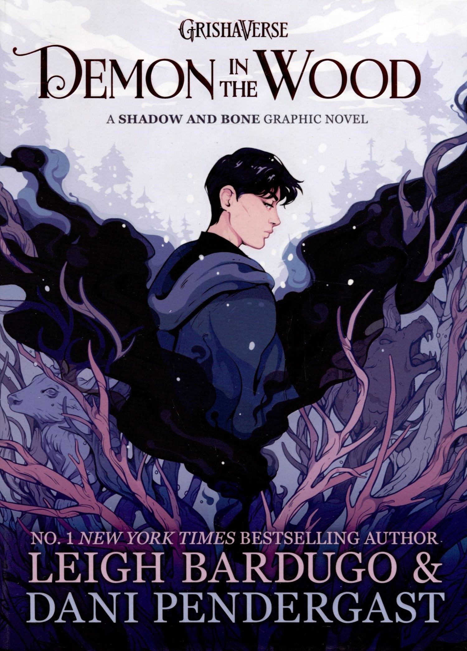 Leigh Bardugo: Demon in the Wood