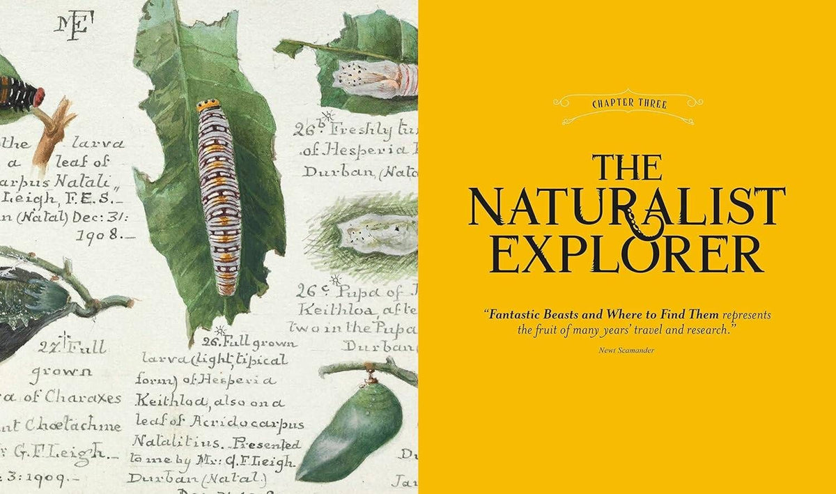 Bronwyn O`Reilly: Fantastic Beasts: The Wonder of Nature Фантастические твари: чудо природы/ Книги на английском языке