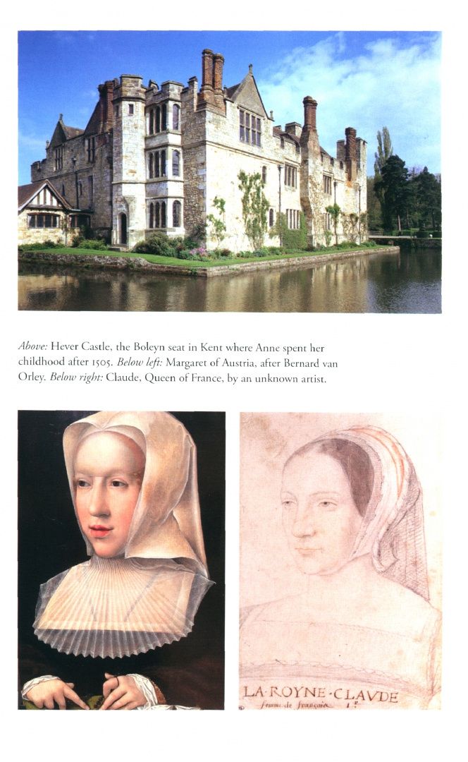 Julia Fox: Hunting the Falcon. Henry VIII, Anne Boleyn and the Marriage That Shook Europe