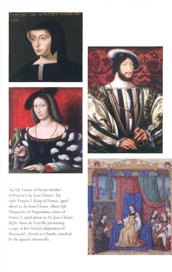 Julia Fox: Hunting the Falcon. Henry VIII, Anne Boleyn and the Marriage That Shook Europe