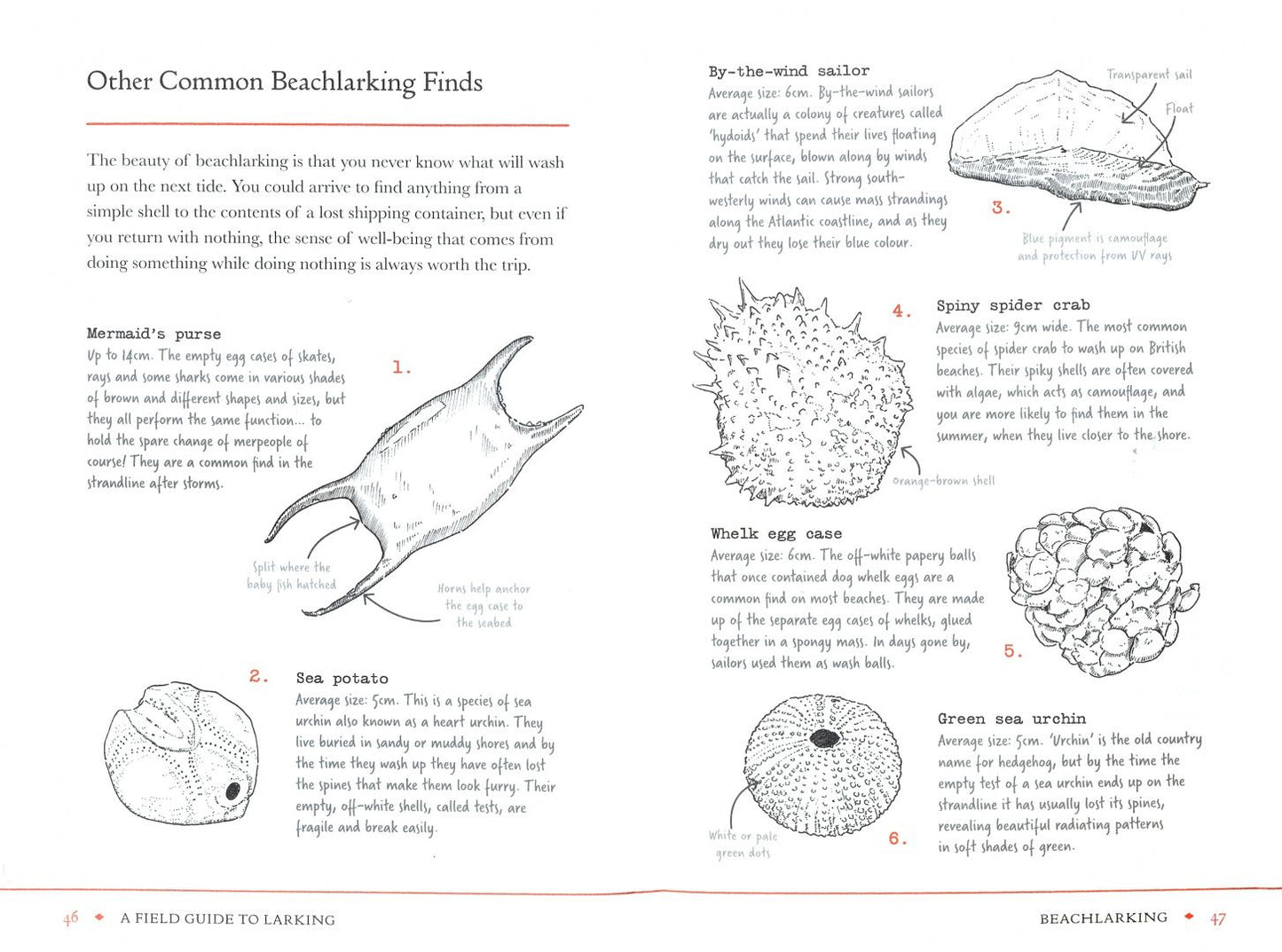 Lara Maiklem: A Field Guide to Larking