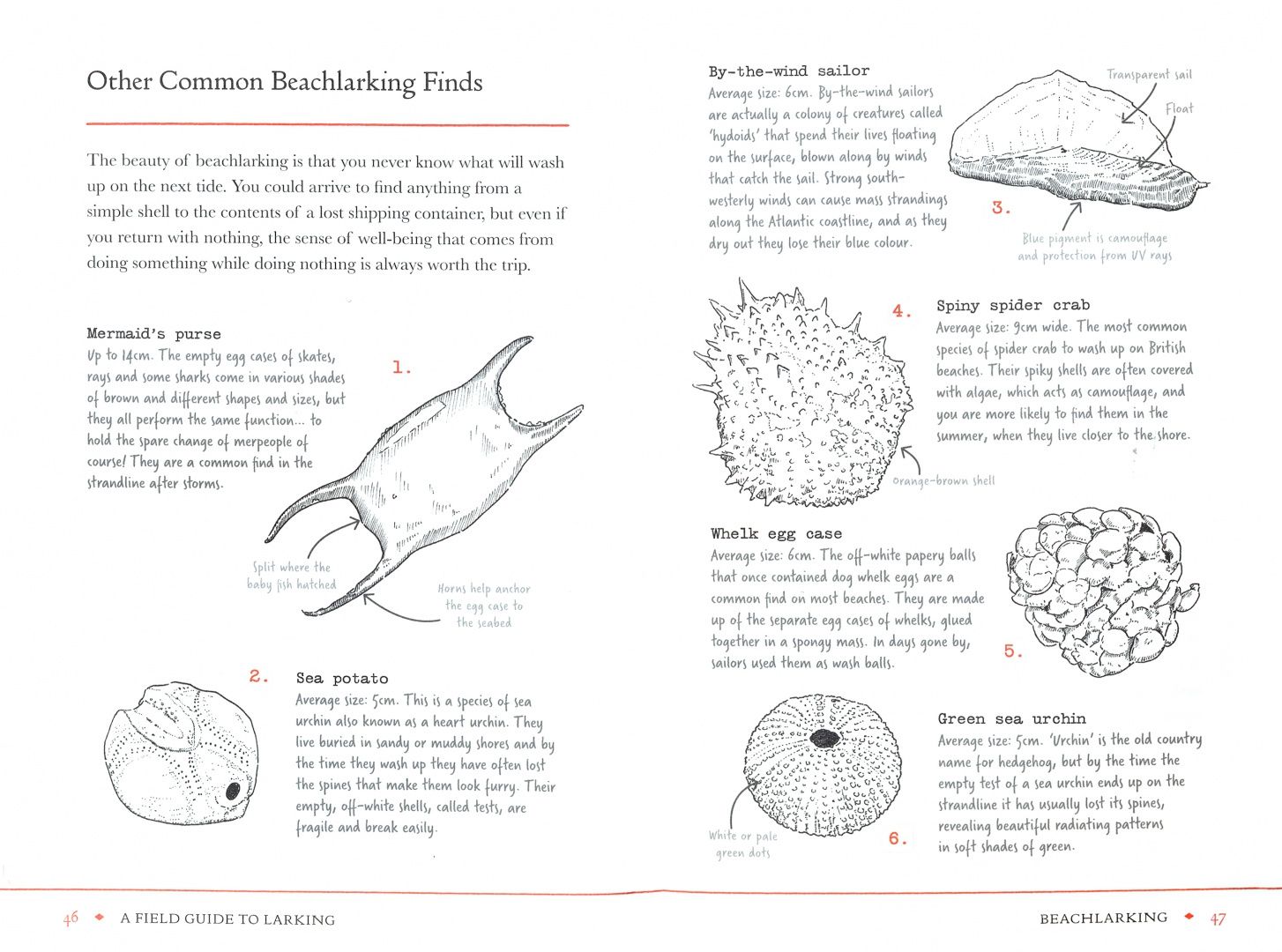 Lara Maiklem: A Field Guide to Larking