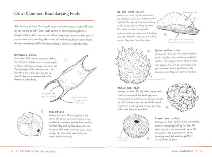 Lara Maiklem: A Field Guide to Larking