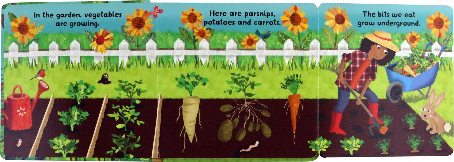 Tracy Cottingham: Kew. Lift and Look Fruit and Vegetables