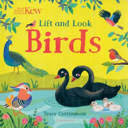 Tracy Cottingham: Kew. Lift and Look Birds