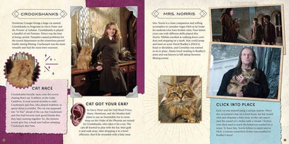 Джоди Ревенсон: Harry Potter – Magical Creatures: A Movie Scrapbook