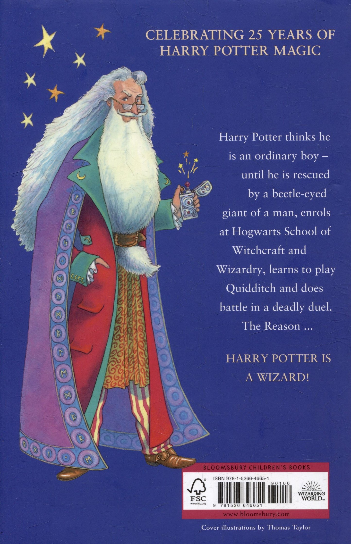 Роулинг Кэтлин: Harry potter and the philosopher`s stone: 25th anniversary edition