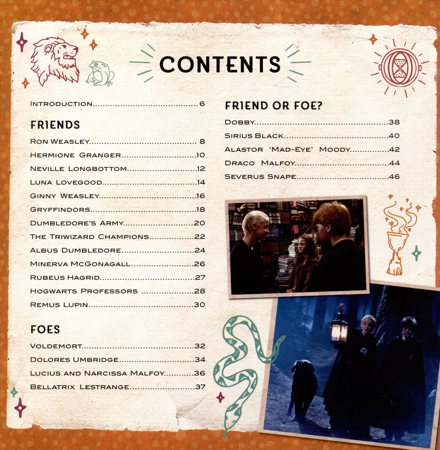 Warner Bros: Harry Potter - Friends & Foes: a Movie Scrapbook (Warner Bros)