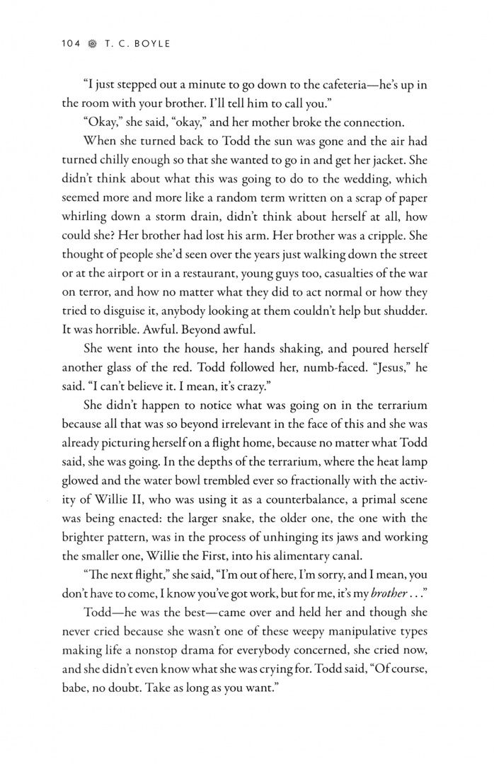 T.C. Boyle: Blue Skies