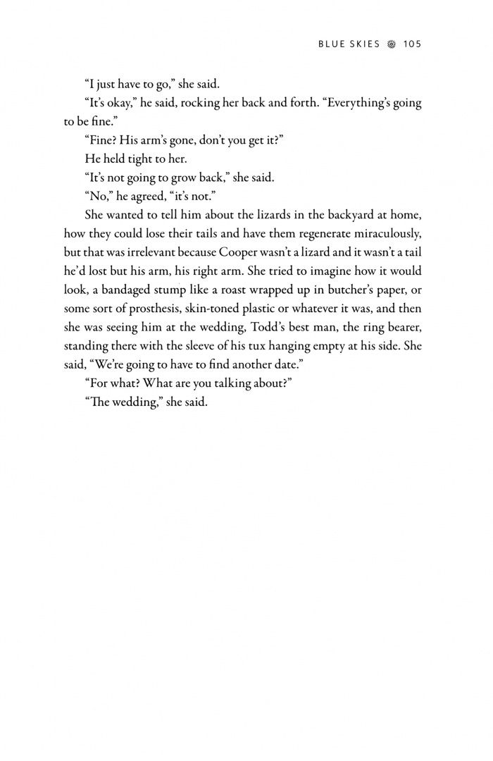 T.C. Boyle: Blue Skies