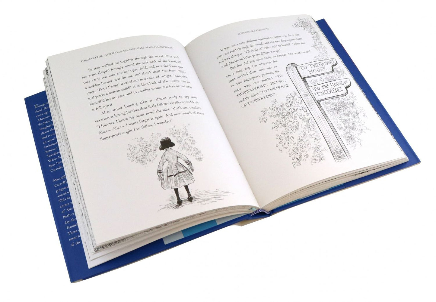Lewis Carroll: Through the Looking-Glass and What Alice Found There