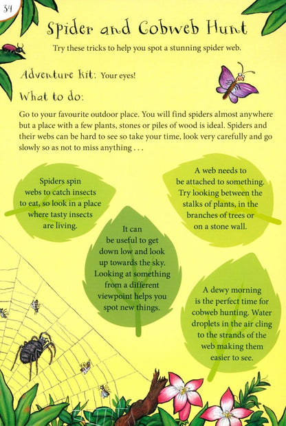 Julia Donaldson: The Gruffalo and Friends Outdoor Activity Book