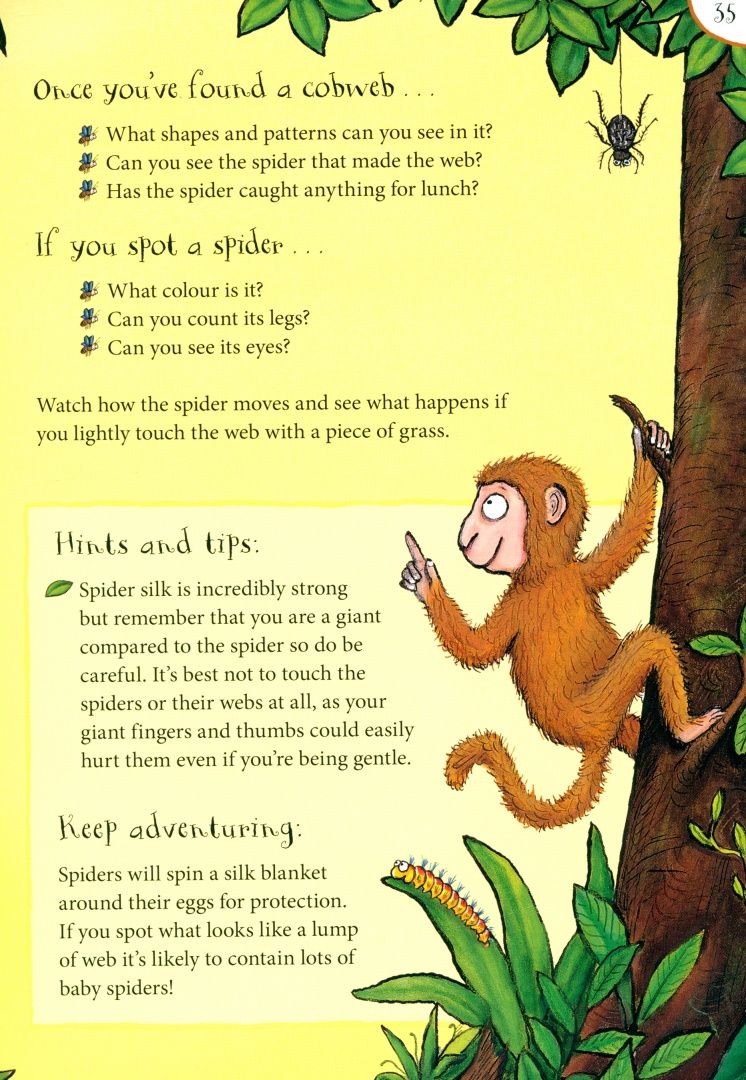 Julia Donaldson: The Gruffalo and Friends Outdoor Activity Book