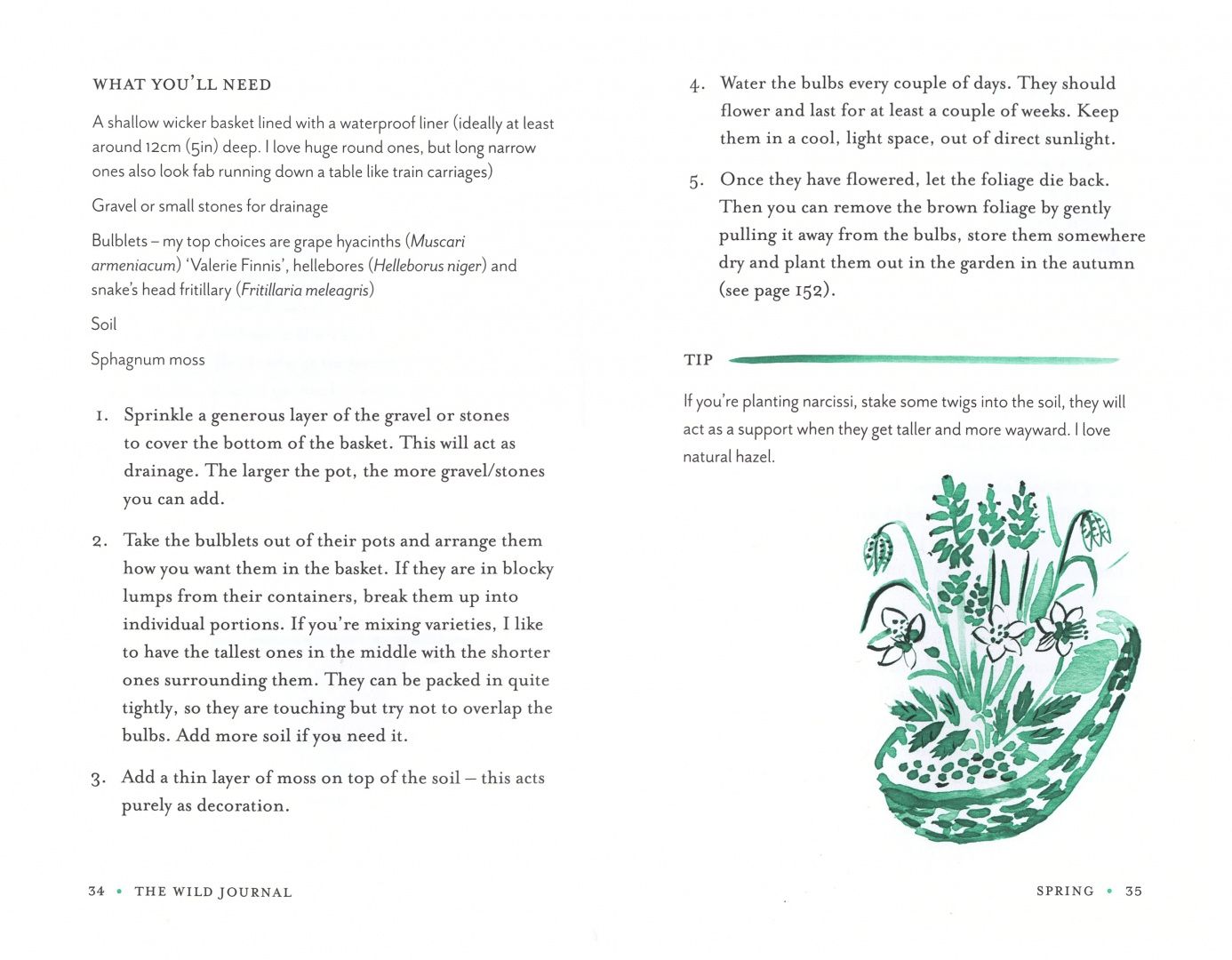 Willow Crossley: The Wild Journal. A Year of Nurturing Yourself Through Nature