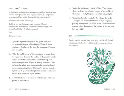 Willow Crossley: The Wild Journal. A Year of Nurturing Yourself Through Nature