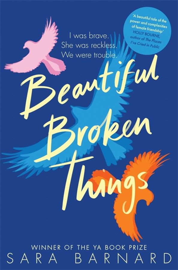 Sara Barnard: Beautiful Broken Things