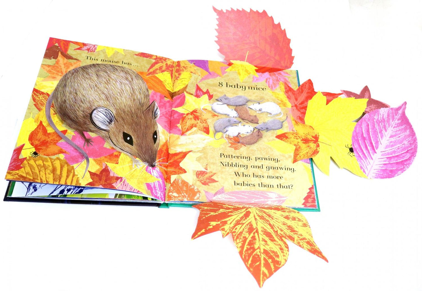 Julia Donaldson: Counting Creatures