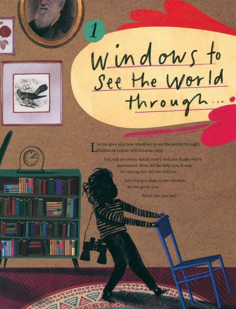 Dara McAnulty: Wild Child. A Journey Through Nature. A Journey Through Nature