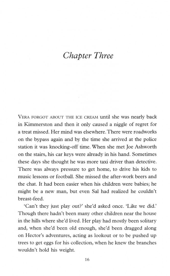 Ann Cleeves: The Seagull