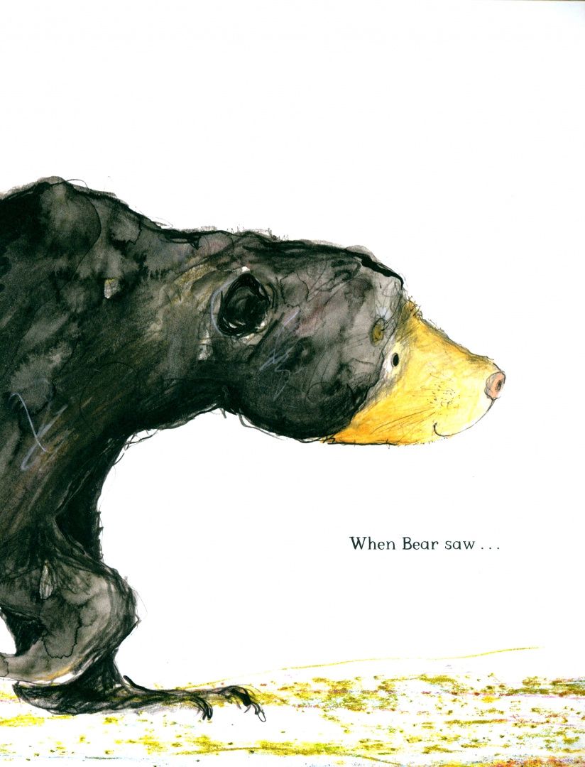 Catherine Rayner: Five Bears