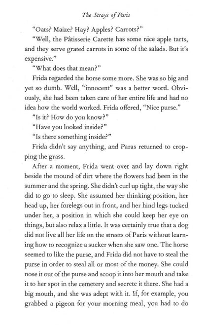 Jane Smiley: The Strays of Paris