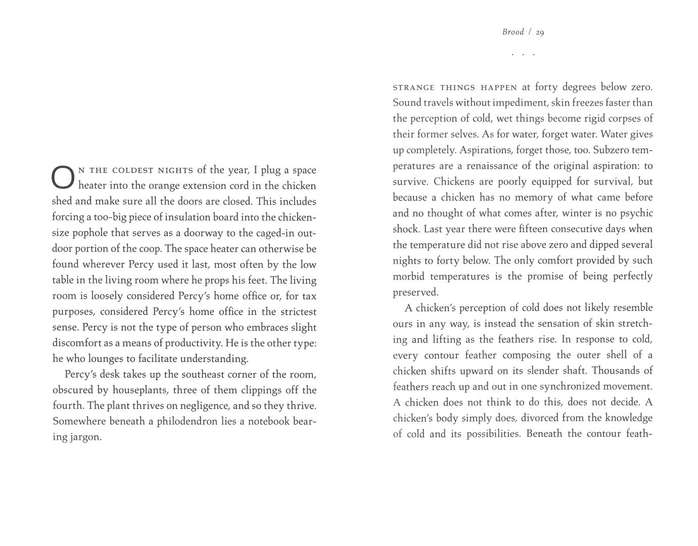 Jackie Polzin: Brood