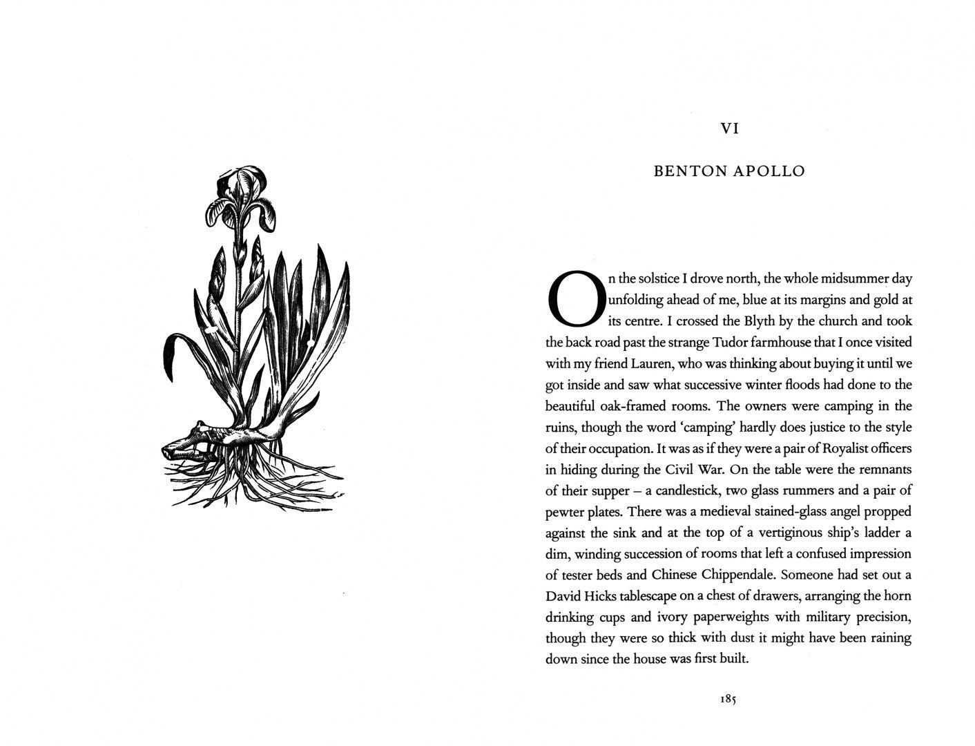 Olivia Laing: The Garden Against Time. In Search Of A Common Paradise